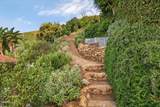 496 Lupine Way - Photo 63