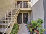 806 Coriander - Photo 11