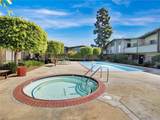 806 Coriander - Photo 8