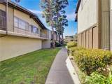 806 Coriander - Photo 10