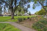10158 Carefree Dr - Photo 38