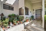 17721 Valle De Lobo - Photo 4