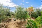 35103 Vintage Cove - Photo 57