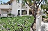 3512 Paseo De Los Americanos - Photo 49