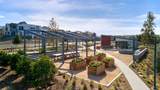 26852 Serif Place - Photo 23