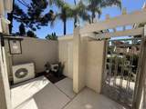 6209 Caminito Araya - Photo 11