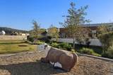 28020 Harvest Court - Photo 63