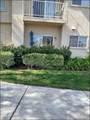 19149 Palo Verde - Photo 21