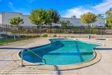 3446 Los Mochis Way - Photo 2
