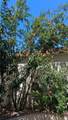 15500 Tustin Village - Photo 16