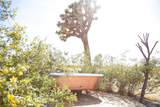 3535 Olympic Road - Photo 53