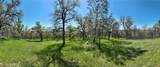 18461 Old Wards Ferry Road - Photo 7