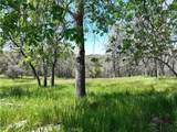18461 Old Wards Ferry Road - Photo 8