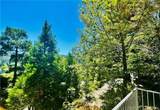 349 Golf Course Road - Photo 53