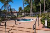 166 Via Contento - Photo 40