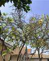 4941 130th - Photo 48