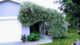 4777 Crooked Creek Ct. - Photo 1