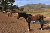 1785 Scenic View - Photo 9