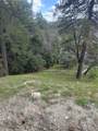0 Fern Canyon - Photo 1