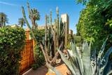 36170 Avenida De Las Montanas - Photo 38