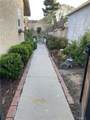 2634 Nandina Drive - Photo 3