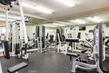 28052 Via Congora - Photo 44