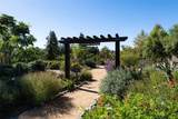 28052 Via Congora - Photo 55