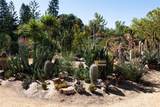 28052 Via Congora - Photo 56