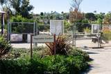 28052 Via Congora - Photo 58