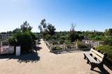 28052 Via Congora - Photo 60