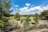 28052 Via Congora - Photo 61