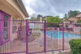 18674 Caminito Cantilena - Photo 24