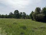 5 Mountain Springs - Photo 4