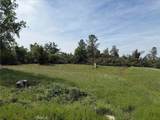 5 Mountain Springs - Photo 6
