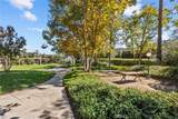 23515 Lyons - Photo 24