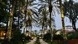 2005 Costa Del Mar Road - Photo 19