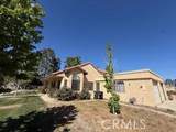 19218 Elm Drive - Photo 1