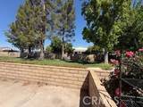 19218 Elm Drive - Photo 24