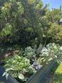 1744 Calle Jules - Photo 38
