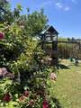 1744 Calle Jules - Photo 41