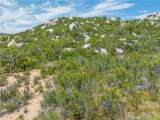 712 Rolling Hills - Photo 17