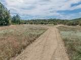 46 Lakeshore - Photo 22