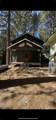 33444 Squirrel - Photo 1
