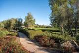 8243 Santaluz Village Green - Photo 65
