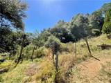 7282 Marin Street - Photo 27