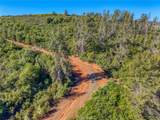 8179 Highway 29 - Photo 34