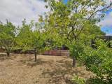 780 Salinas - Photo 15
