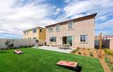 27310 Golden Nugget Street - Photo 2