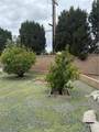 1104 Ribbonwood Court - Photo 4