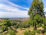 9549 Vista Aleta - Photo 21